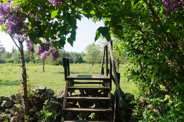 Wooden stile crossing a dry stone wall in a rural landscape by s — ストック写真