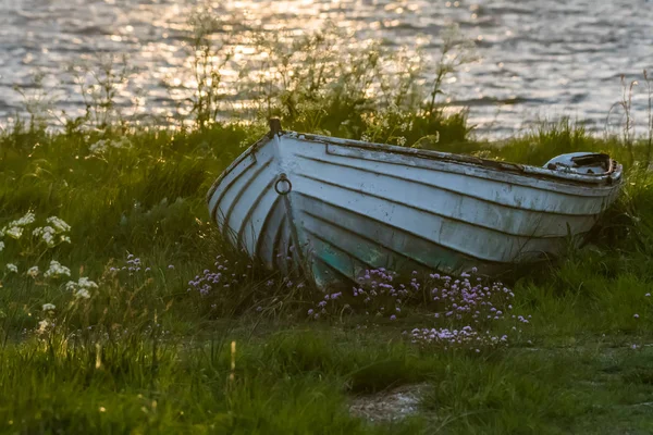 Gammal vittrad roddbåt i grönt gräs — Stockfoto