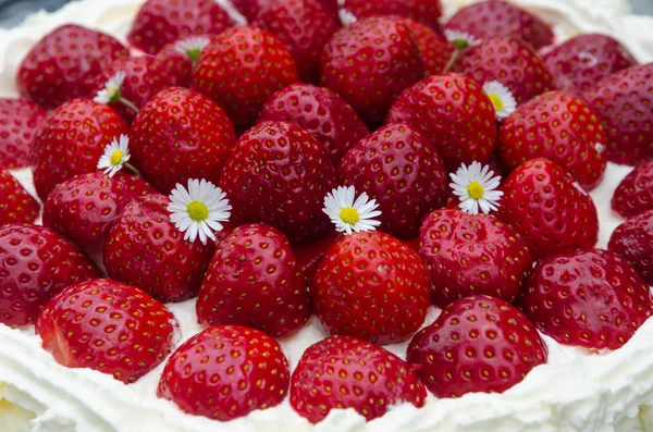 Fresh strawberry cake closeup — Stock Photo, Image