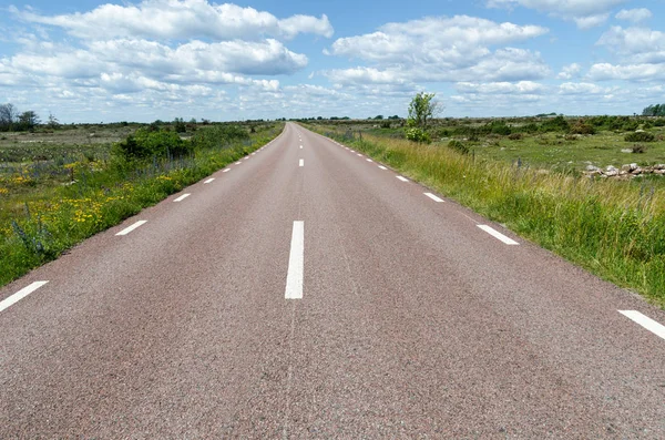 Büyük ova alanında yol kenarında çiçek ile güzel bir yol — Stok fotoğraf