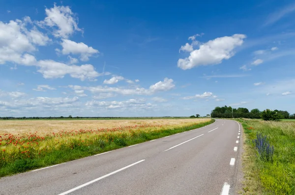 Sommer-Ansicht einer schönen Landstraße mit blühenden Straßenrändern — Stockfoto