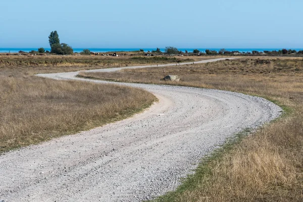 İsveç adası Oland kuru bir otlak ta sarma toprak yol — Stok fotoğraf