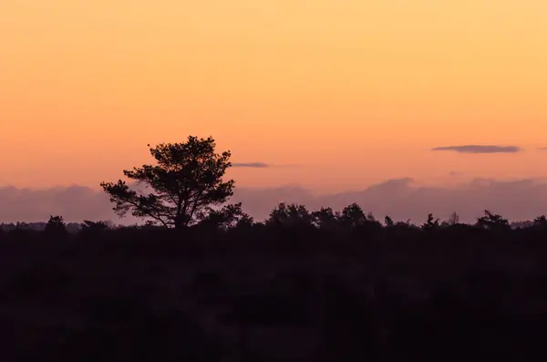 Sabah sadece kırık bir manzara siluetleri — Stok fotoğraf