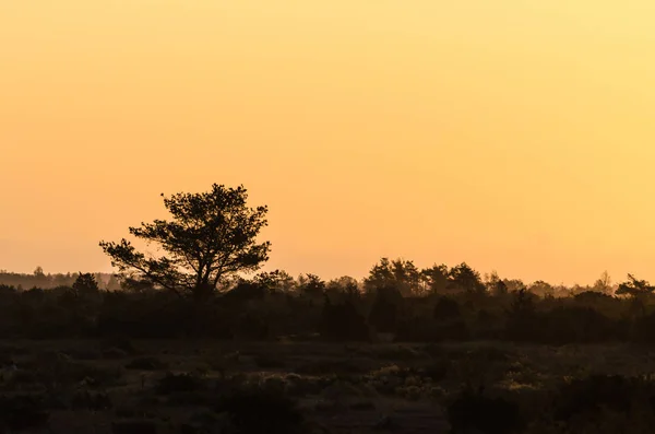 Siluetas en un paisaje cuando ha amanecido — Foto de Stock