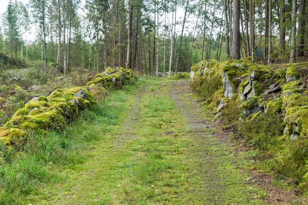 Moss cubierto paredes de piedra por un camino de campo — Foto de Stock