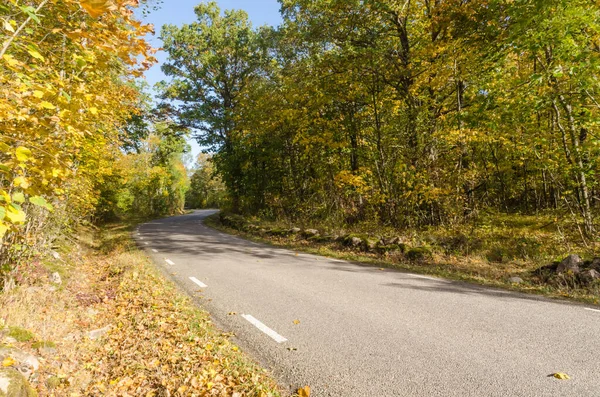 Kronkelende landweg in herfstseizoen kleuren — Stockfoto