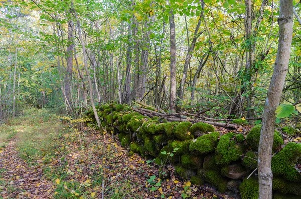 Gammal mossa täckt torr stenmur — Stockfoto