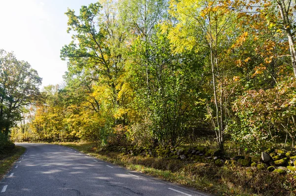 Zonlicht gebogen land weg in de herfst kleuren — Stockfoto