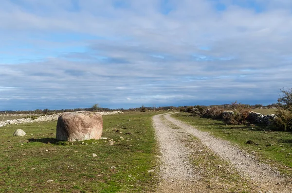 Toprak bir yol Büyük düz bir çayırlık — Stok fotoğraf