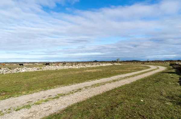 Bochtige landweg in een brede open vlakte grasland — Stockfoto