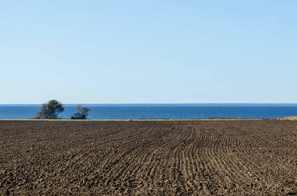 Filas aradas rectas en un campo junto a la costa Imágenes de stock libres de derechos