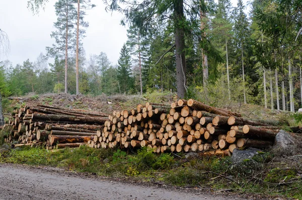 Drewniane stosy, odnawialne zasoby drogowe — Zdjęcie stockowe
