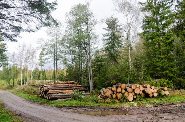 Empilements de bois en bordure de route — Photo