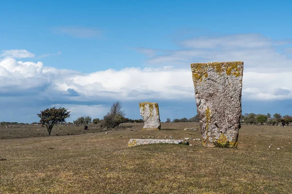 Ancient standing stones from the iron age by Ottenby on the island Oland in Sweden