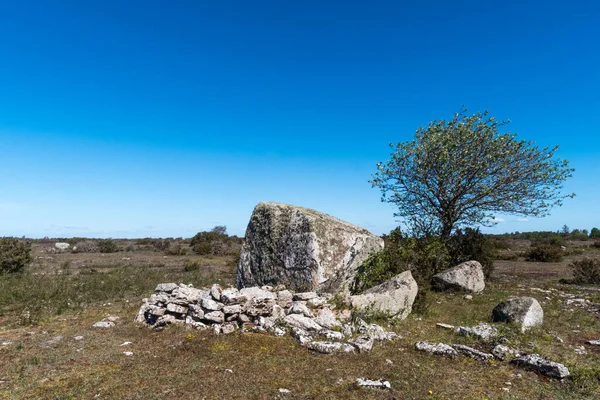 Древние Пастухи Укрываются Большой Скалы Бесплодном Ландшафте Шведском Острове Оланд — стоковое фото