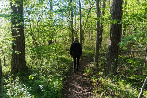 Passeggiando Una Foresta Luminosa Lussureggiante Retroilluminata Nella Stagione Primaverile — Foto Stock