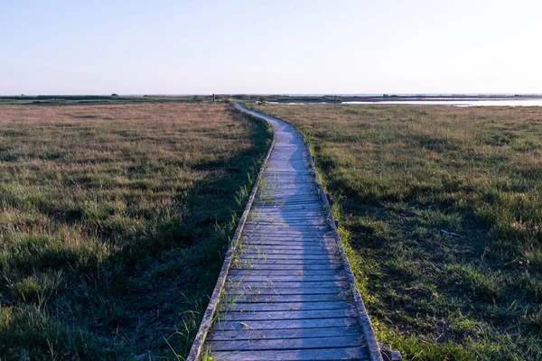 Passerelle Bois Travers Les Zones Humides Dans Réserve Naturelle Xoershamn — Photo