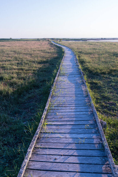 Wooden footbridge through the wetlands in Beijershamn nature reserve on the island Oland in Sweden