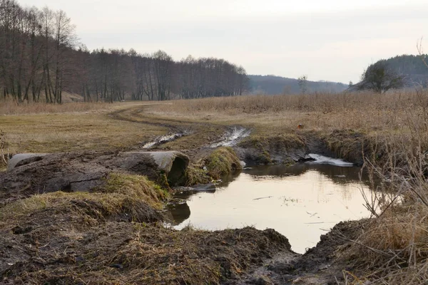 Dirt Road Puddles — Stock Photo, Image