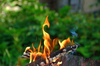 ahşap arka plan yeşil yanıyor