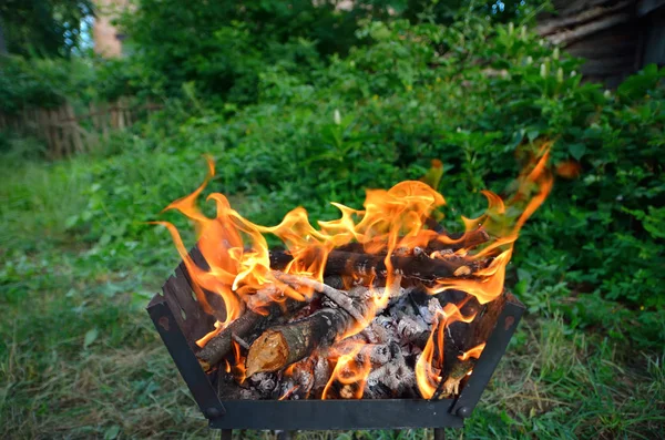 Wood Burns Background Green — Stock Photo, Image