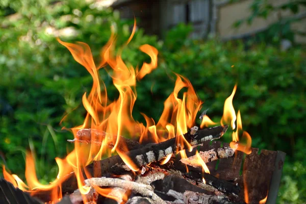 Wood Burns Background Green — Stock Photo, Image