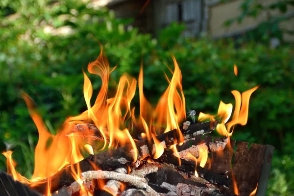 Kayu Bakar Latar Belakang Hijau — Stok Foto