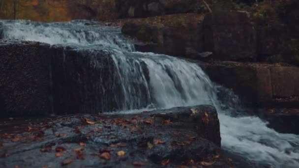 Vattenfall Höstskogen — Stockvideo