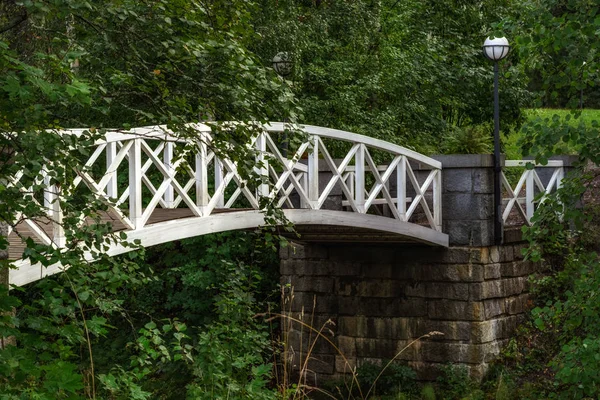 Ett Fragment Arch Bron Över Ravinen Med Vita Räcke Stenfot — Stockfoto