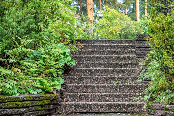 Stone steps of the stairs are brown, leading upwards and framed on both sides by green bushes.