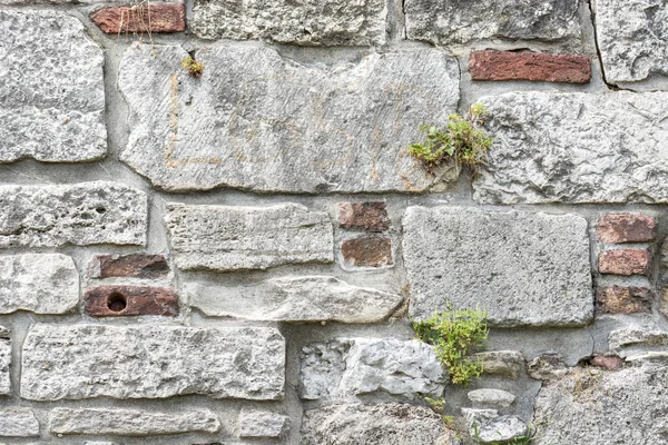 Eski Gri Taş Duvar Tuğla Yeşil Sürgünler Bir Arka Plan — Stok fotoğraf