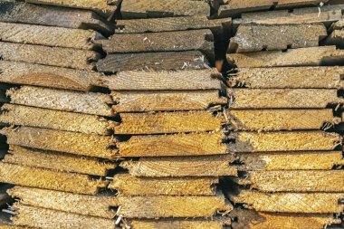 Taze Boyutlanmış kurulları üç satır yığınında yalan bir kesim görünümünü.