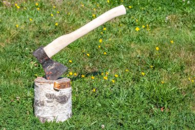 Eski bir huş stump, yeşil çim çerçevede bir balta sıkışmış.