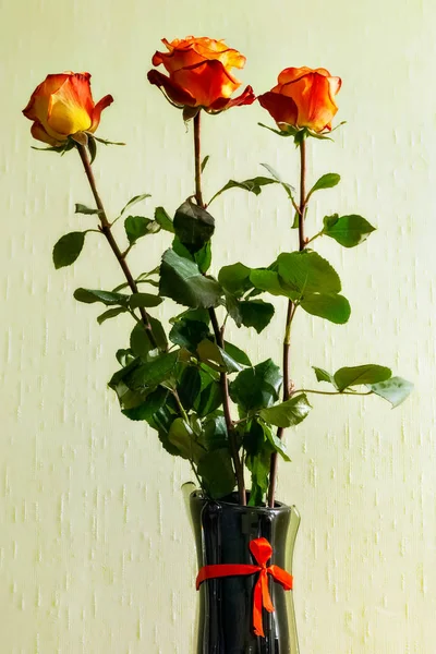 Trois roses dans un vase . — Photo