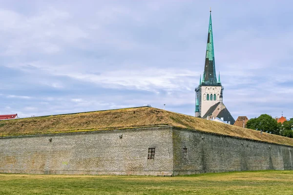 Spiran av Oleviste kyrka. — Stockfoto