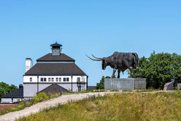 Rakvere'de boğa heykeli. — Stok fotoğraf