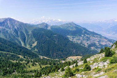 Yaz dağ manzarası.