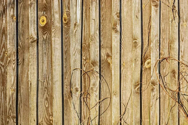 Fragment Wall Wooden Slats Boards Dry Plant Stems Use Abstract — Stock Photo, Image