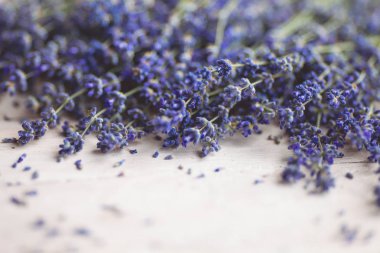 Beyaz ahşap zemin üzerinde taze lavanta