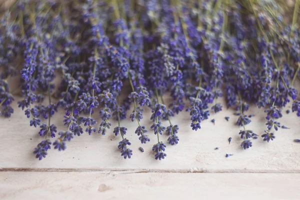 Fresh lavender on a white wooden background