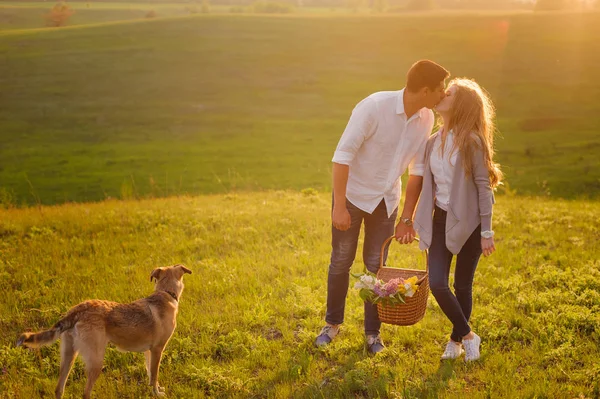 Wonderful love story in photos. Pretty pair on green field — Stock Photo, Image