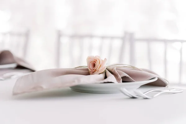 A gentle little bud of pink eustoma adorns a tissue napkin. — Stock Photo, Image