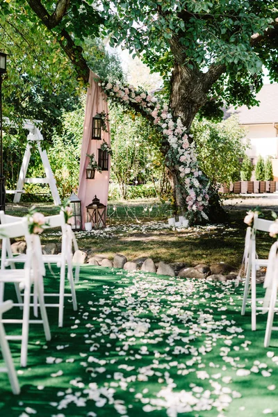 Lenyűgöző hely egy esküvői szertartáshoz egy nagy élő fa mellett.. — Stock Fotó