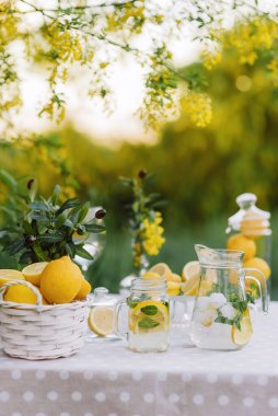Meyveler, limonata ve kurabiyeler masada..