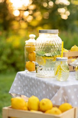 Limonatalı büyük bir kavanoz. Yaz konsepti rahatlamak ve piknik yapmak. Sağlıklı yiyecek ve içecek..