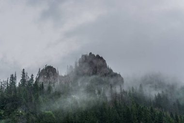 Sisli Tatra Dağları'nın harika bir manzara. Tatra Milli Parkı. Polonya, Avrupa. Dramatik sahne. Güzellik Dünya.