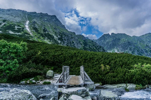 Nehrin Üzerinde Bir Dağ Ahşap Köprü Tatra Milli Parkı Polonya — Stok fotoğraf