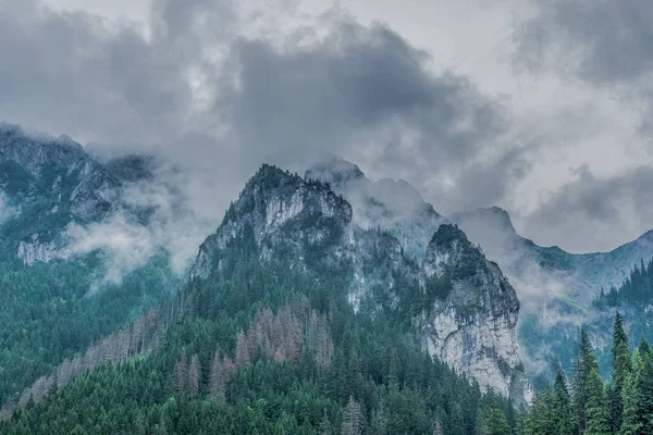 Sisli Tatra Dağları'nın harika bir manzara. Tatra Milli Parkı. Polonya, Avrupa. Dramatik sahne. Güzellik Dünya.