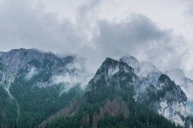 Sisli Tatra Dağları'nın harika bir manzara. Tatra Milli Parkı. Polonya, Avrupa. Dramatik sahne. Güzellik Dünya.