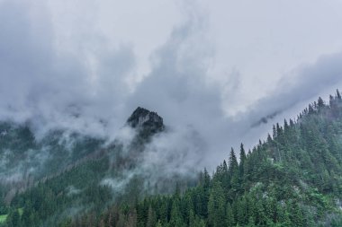 Sisli Tatra Dağları'nın harika bir manzara. Tatra Milli Parkı. Polonya, Avrupa. Dramatik sahne. Güzellik Dünya.